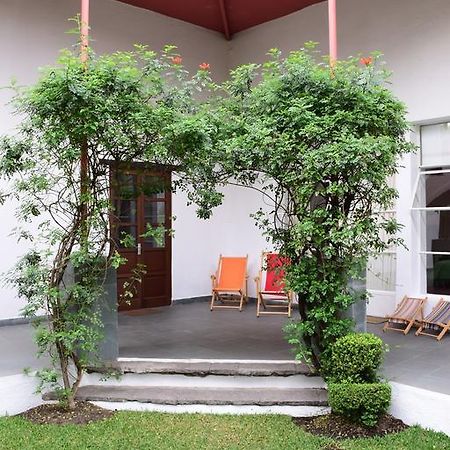 La Casa De Las Magnolias Hotel Coyoacan Exterior foto
