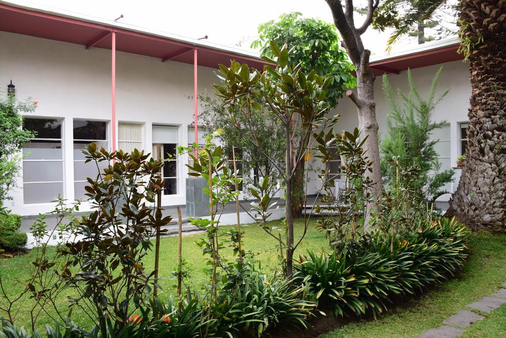 La Casa De Las Magnolias Hotel Coyoacan Exterior foto