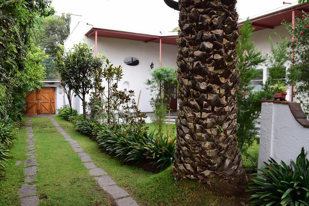 La Casa De Las Magnolias Hotel Coyoacan Exterior foto