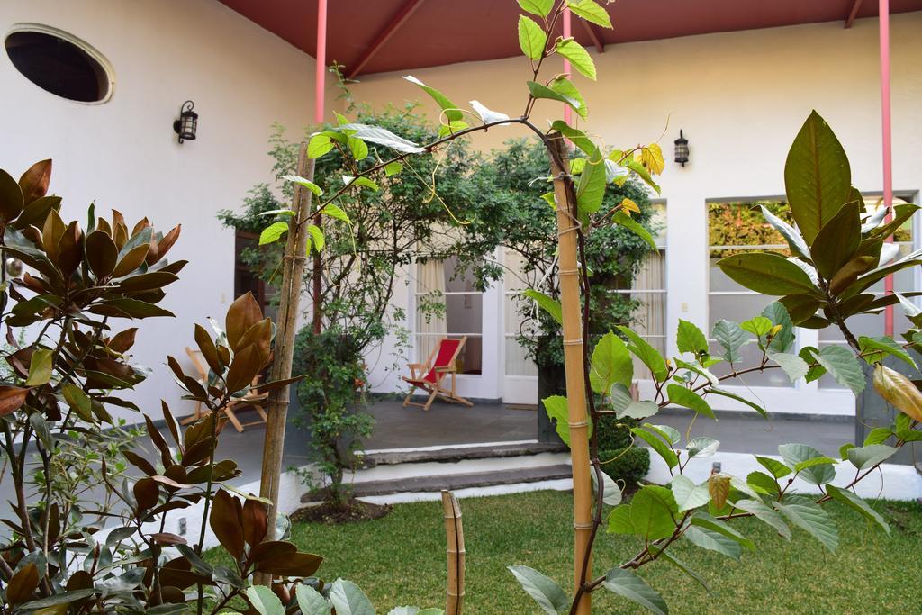 La Casa De Las Magnolias Hotel Coyoacan Exterior foto