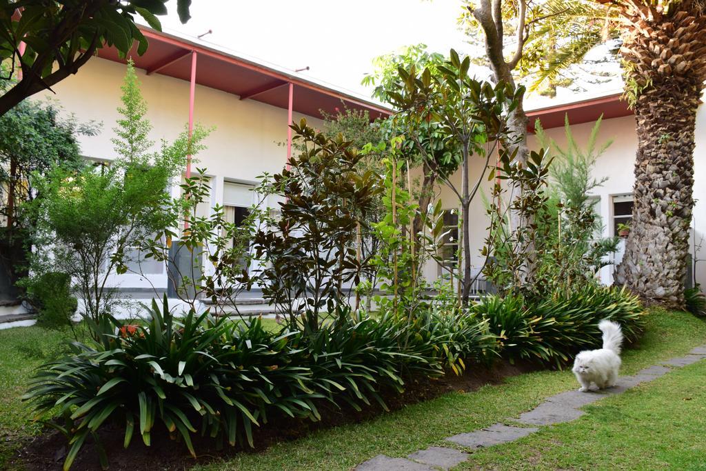 La Casa De Las Magnolias Hotel Coyoacan Exterior foto