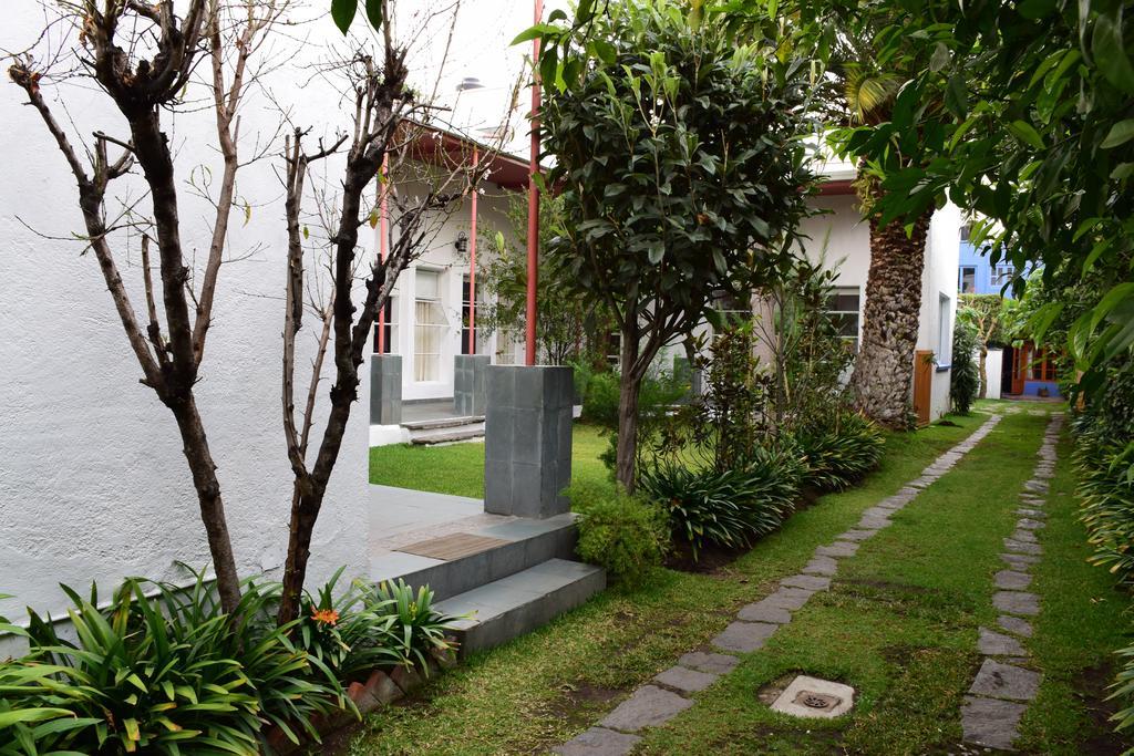 La Casa De Las Magnolias Hotel Coyoacan Exterior foto